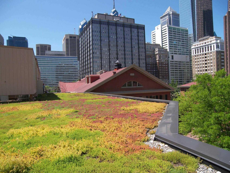 paysagiste-ASPREMONT-min_green-roof-portfolio-4